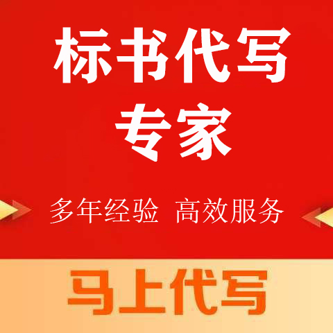 大足区投标书代写竞标标书代写公司 - 方案